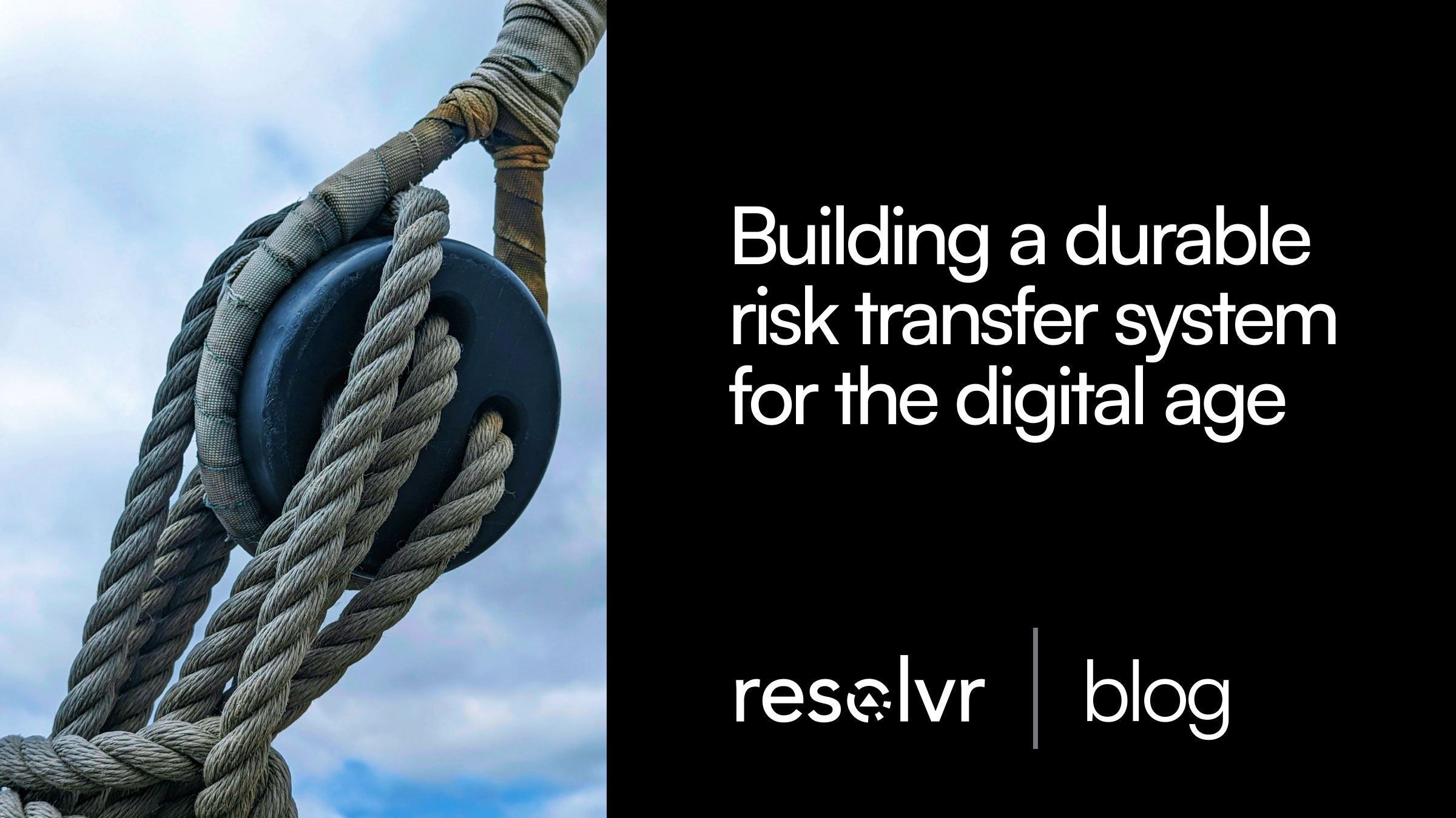 Cover image for Building a Durable Risk Transfer System for the Digital Age